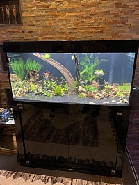 Designer Aquarium