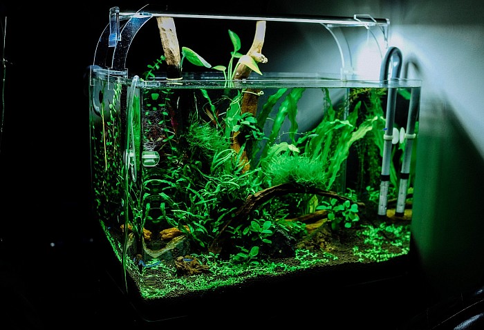 Nano Aquarium